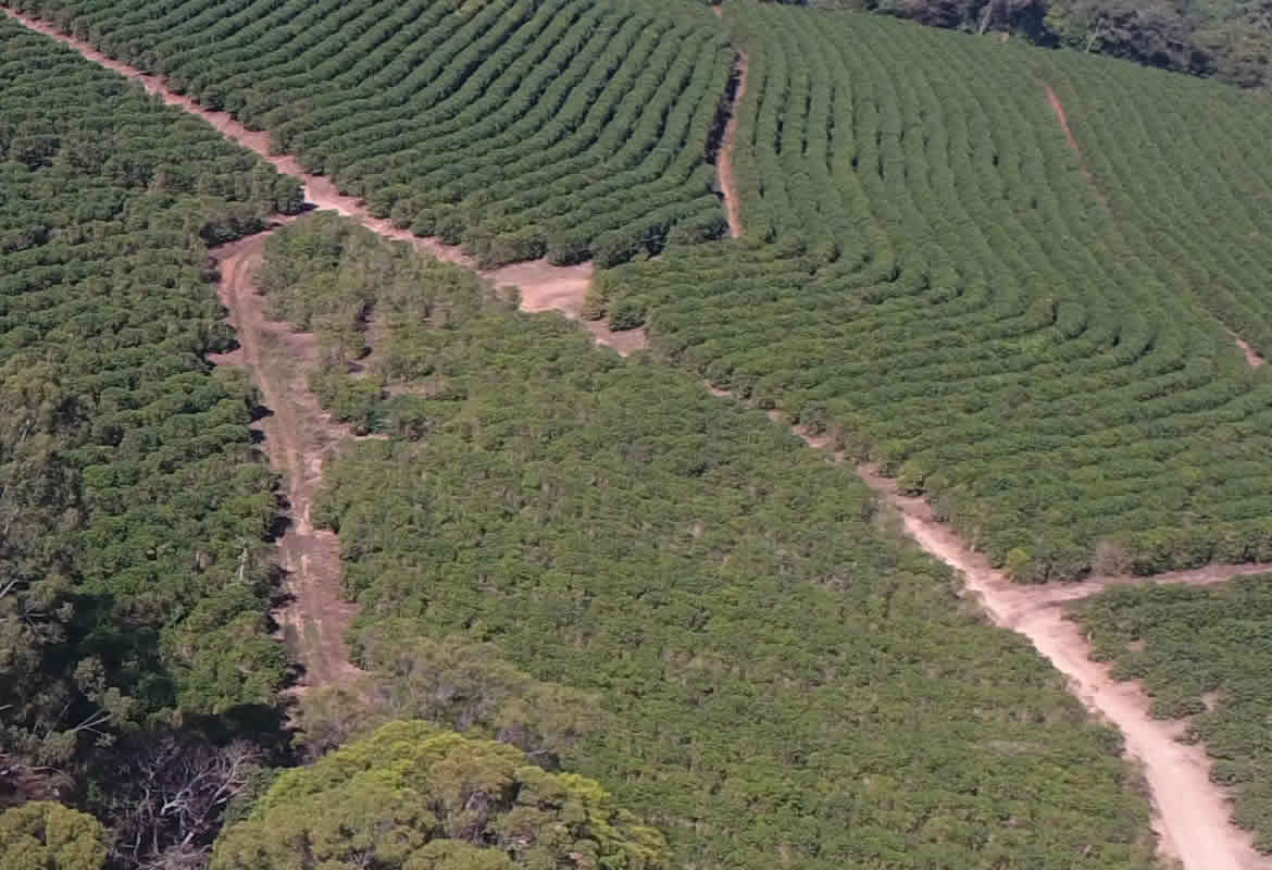 Fazenda Santa Maria